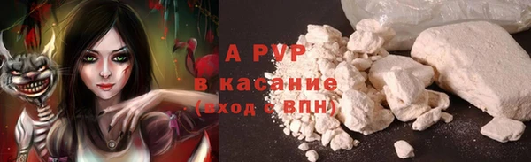 сатива Алзамай