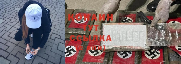 сатива Алзамай
