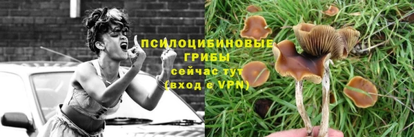 сатива Алзамай